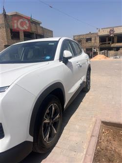 جيتور داشينج